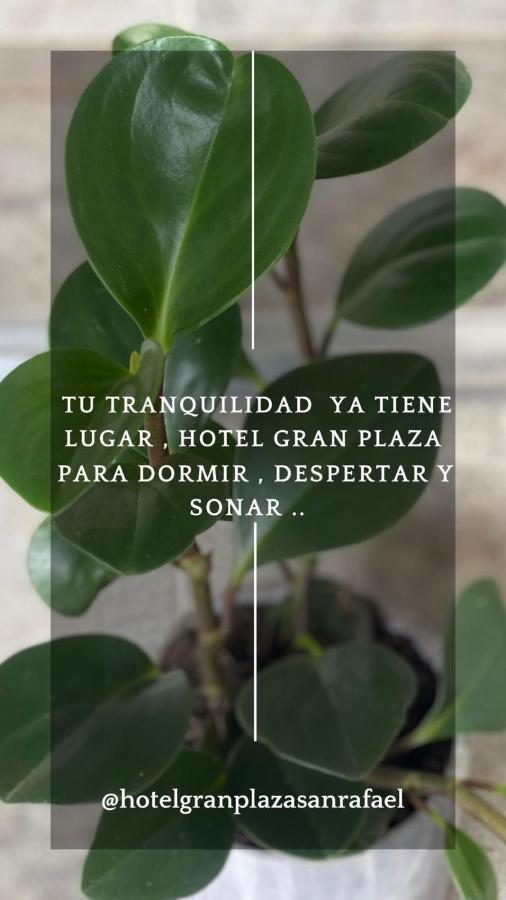 Hotel Gran Plaza San Rafael San Rafael  Bagian luar foto